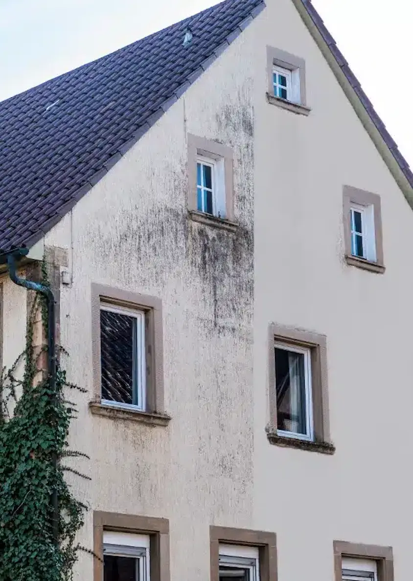 nettoyage toiture Brignoles nettoyage façade terrasse muret
