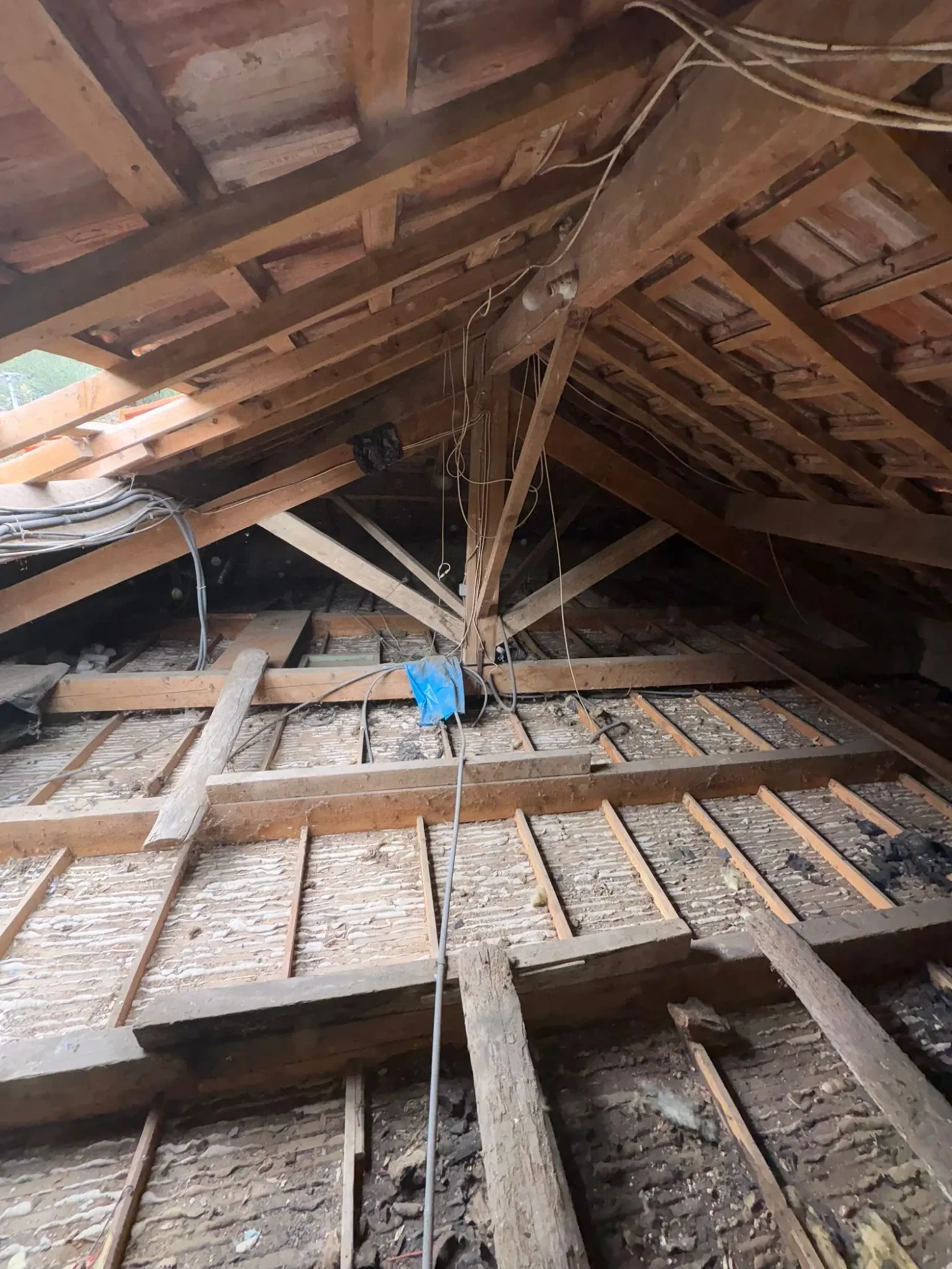 traitement charpente Brignoles rénovation structure bois
